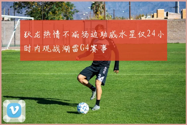 狄龙热情不减场边助威水星仅24小时内观战湖雷G4赛事