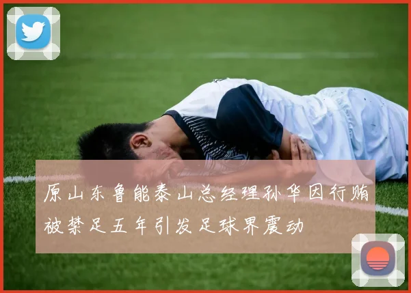 原山东鲁能泰山总经理孙华因行贿被禁足五年引发足球界震动